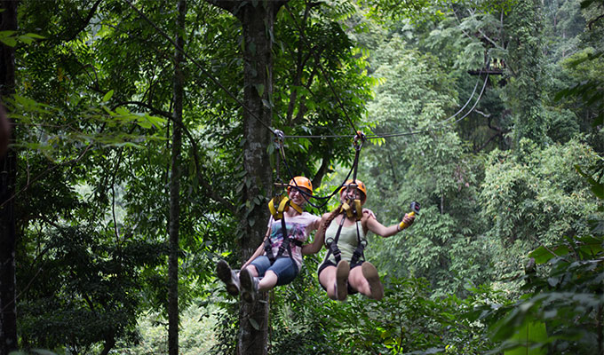 thailand gibbon forest