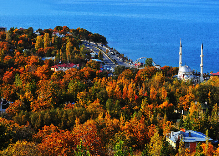 وان ترکیه