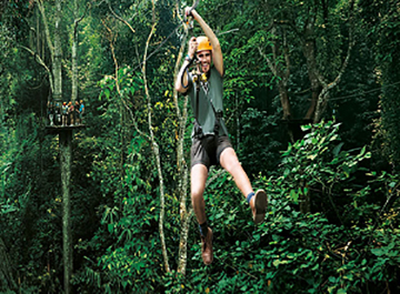 جنگل گیبون تایلند ( Thailand Gibbon Forest )